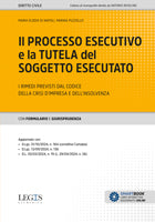 Il processo esecutivo e la tutela del soggetto esecutato - Libreria Giuridica Sauzano